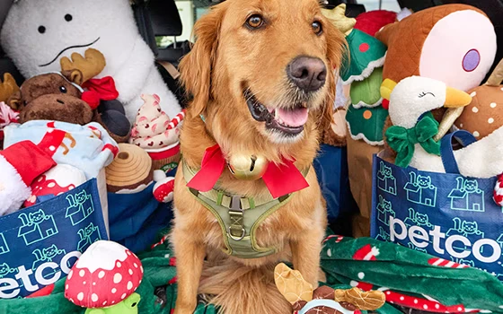 Is Petco Open on New Year's